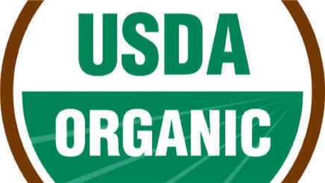 Group Banner Picture